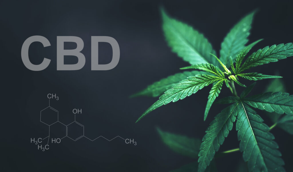 השפעות שמן סיבידי CBD